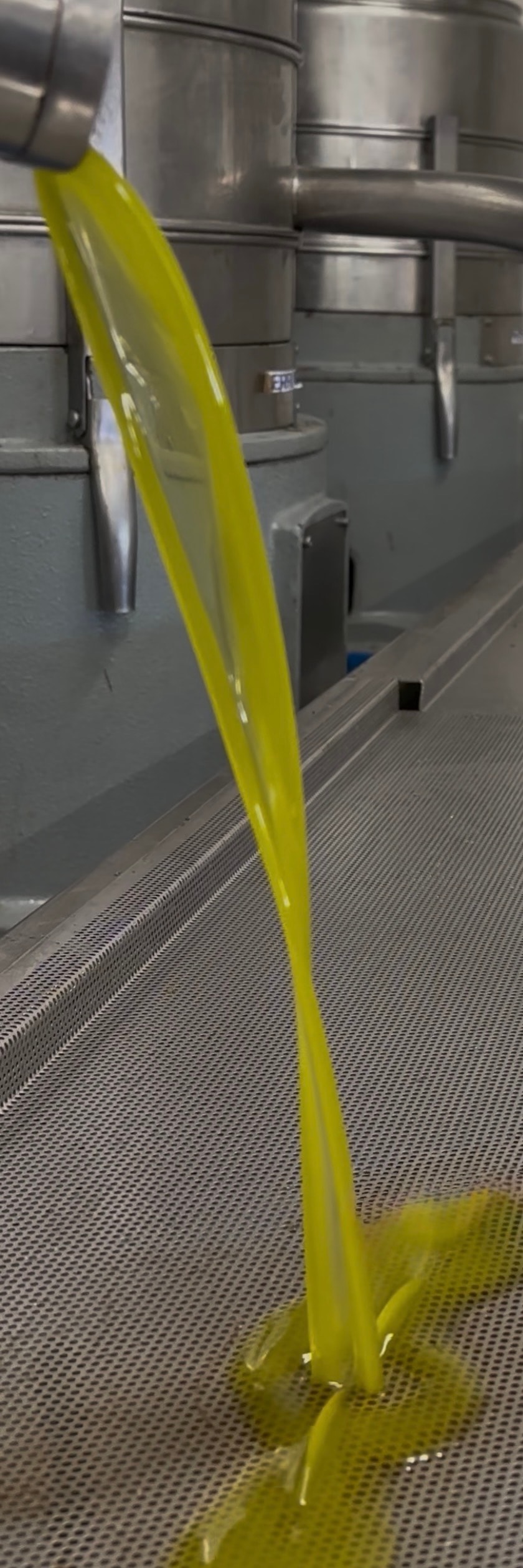 Fresh cold-pressed olive oil being poured